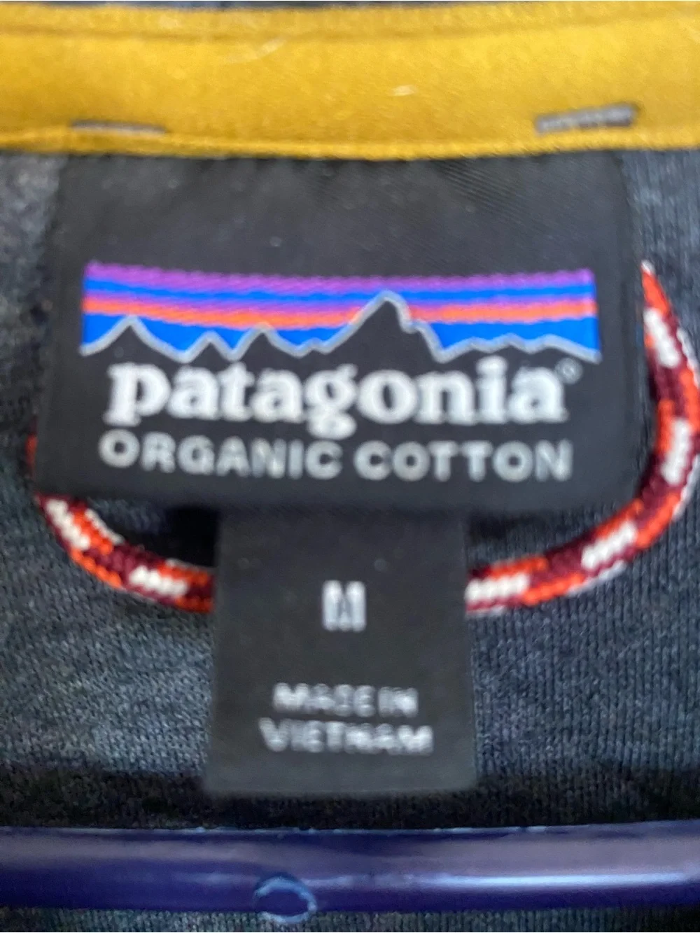 Patagonia men organic